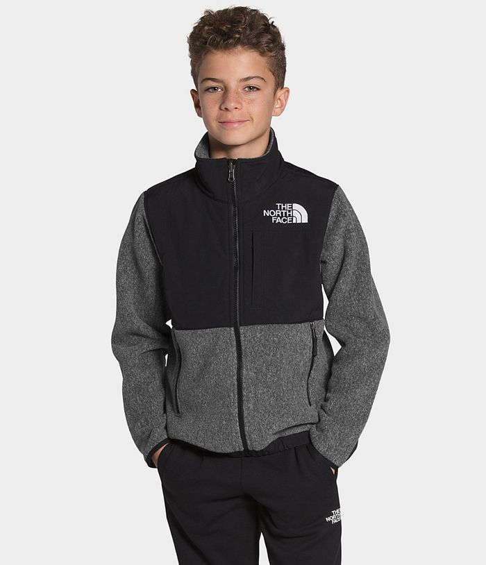 Chaqueta The North Face Niño Juventud ’95 Retro Denali - Colombia BSZLQA519 - Gris/Negras